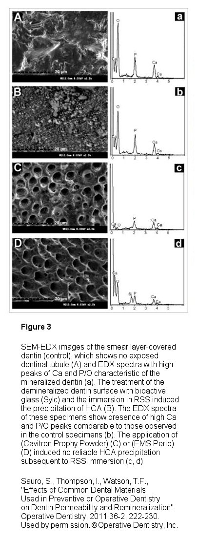 Figure 3b