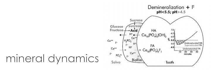 Slide 11