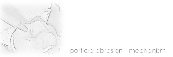 Slide 19